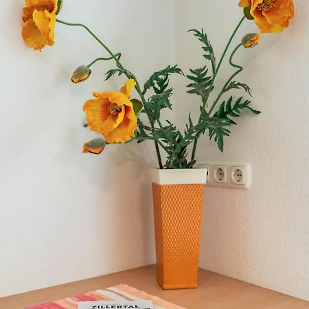 Haus Modau * Mayrhofen